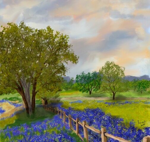 Bluebonnet Fence