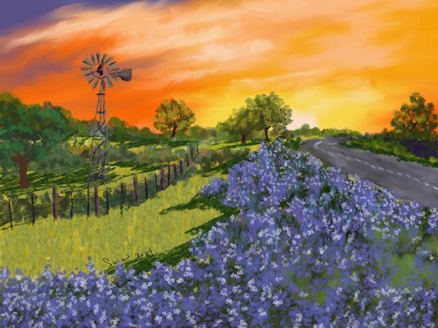 Bluebonnet Sunset